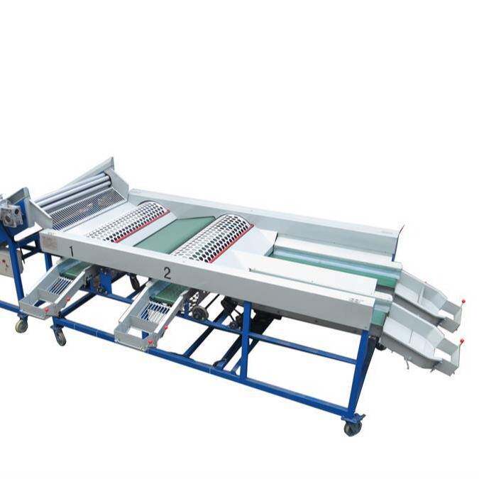 Garlic and onion grading machine, fruit and vegetable sorting machine, single garlic fruit sorting equipment, small fruit sorting machine
