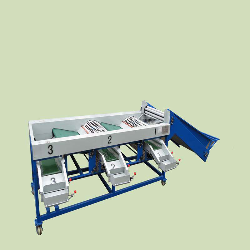 Garlic and onion grading machine, fruit and vegetable sorting machine, single garlic fruit sorting equipment, small fruit sorting machine