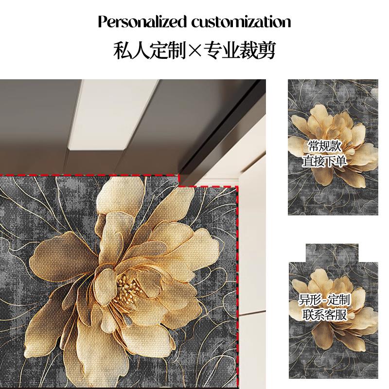 入户地垫门垫进门地毯门口脚垫2024新款高级感家用大门垫子鞋垫子 - 图2