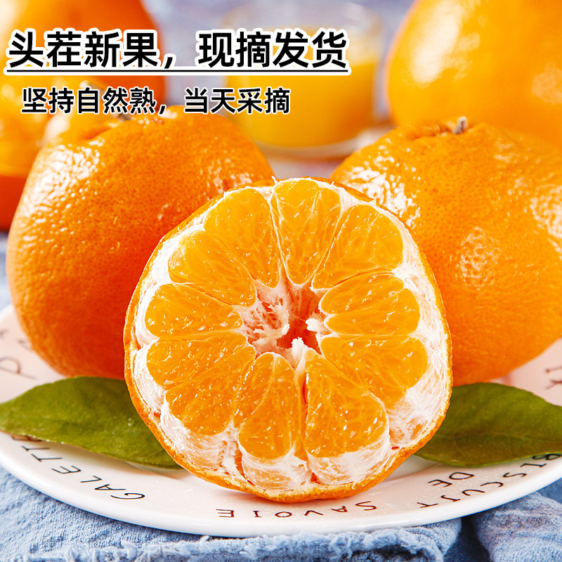 四川春见耙耙柑粑粑柑9斤整箱橘子甜当季杷杷新鲜水果丑柑桔年货,淘宝优惠券,粉丝福利购,淘宝优惠卷