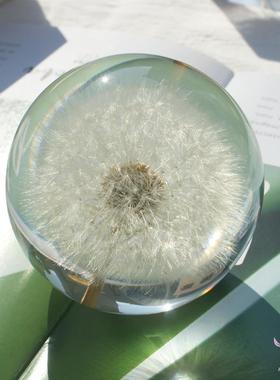 蒲公英标本玫瑰雏菊花康乃馨水晶球树脂摆件滴胶成品永生花镇纸