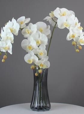 惠艺轩 蝴蝶兰仿真花室内客厅插花单枝假花北欧餐桌装饰花艺软装