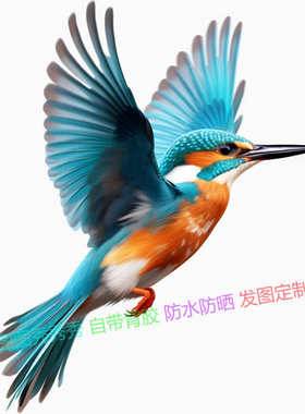 仿真彩色小鸟图案贴纸翠鸟贴画客厅沙发背景墙木门床头装饰贴纸