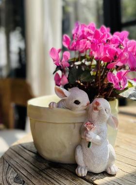 可爱兔子多肉花盆创意个性阳台布置户外庭院摆件花园装饰植物盆栽