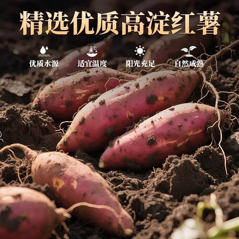 河南正宗农家手工纯红薯淀粉粉条特产无添加劲道耐煮炖菜凉拌通用,淘宝优惠券,粉丝福利购,淘宝优惠卷