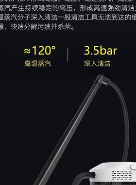 110V/220V高温高压蒸汽清洁机多功能蒸汽拖把家用厨房清洗