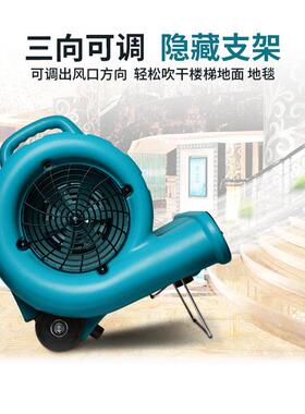 电热风机吹干机吹地机大功率鼓风机酒店烘干机地毯地面地板卫生间