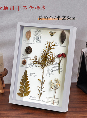 标本相框中空摆台手工diy