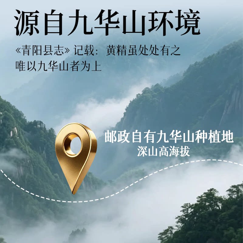 中国邮政九华山黄精九晒九蒸九制正品官方旗舰新鲜即食黄精果泡水