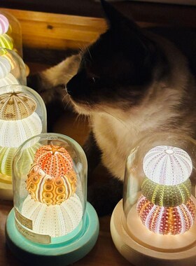 海胆灯材料包床头卧室睡眠灯发光