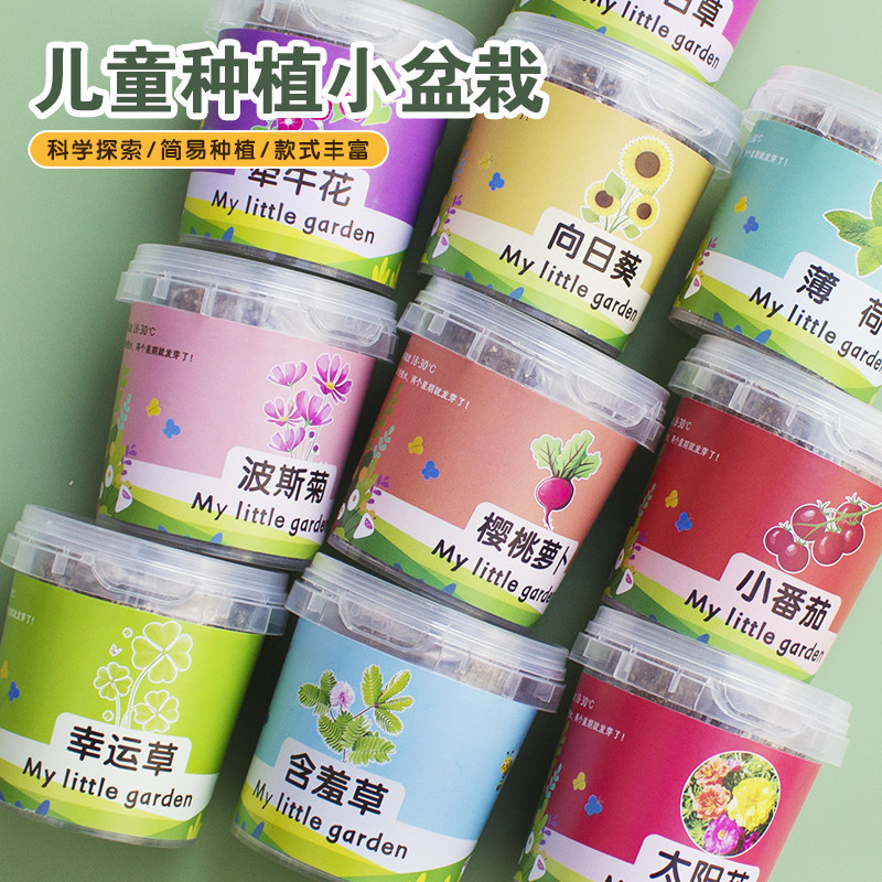 儿童种植小盆栽太阳花向日葵花种籽子幼儿园小学生植物生长观察盒,淘宝优惠券,粉丝福利购,淘宝优惠卷