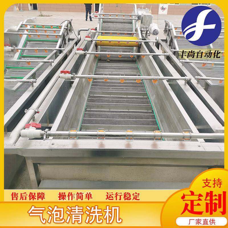 大型喷浪式瓜果蔬菜清洗设备油麦菜鼓泡洗菜机辣菜丝气泡清洗机,淘宝优惠券,粉丝福利购,淘宝优惠卷