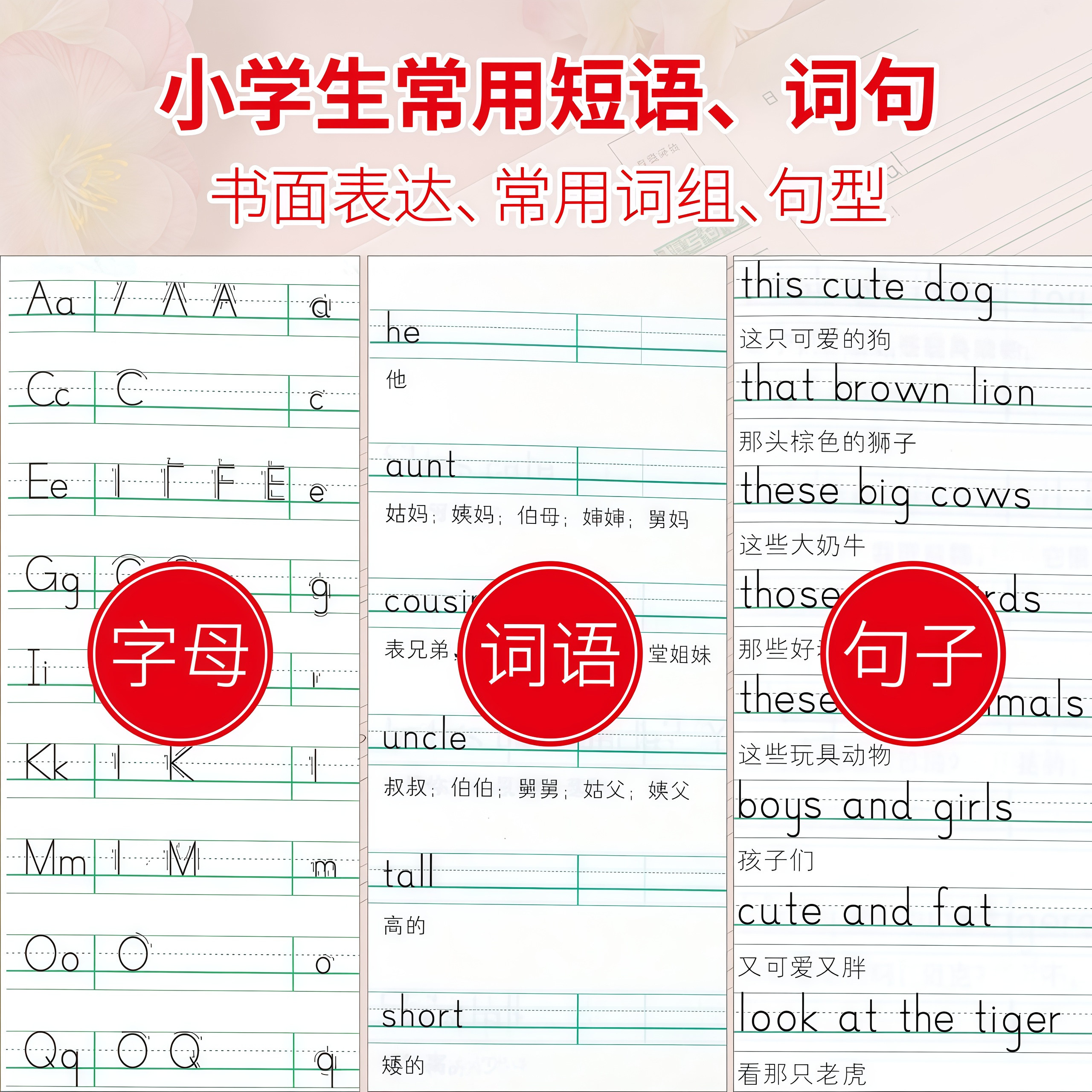 2026新版译林小学英语抄写本一年级二年级三四五六年级上册下册译林版江苏教版升级版同步课本教材教科书小学生英文单词字母练字帖