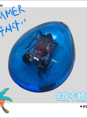 昆虫琥珀蝴蝶蜘蛛蝎子标本虫珀