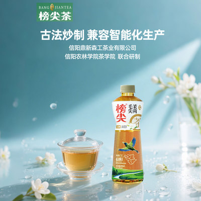 榜尖茶 茉莉毛尖茶500ml 原味无糖茶饮料