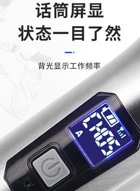 一拖二无线麦克风KTV户外演出宣传家庭聚会话筒舞台降噪