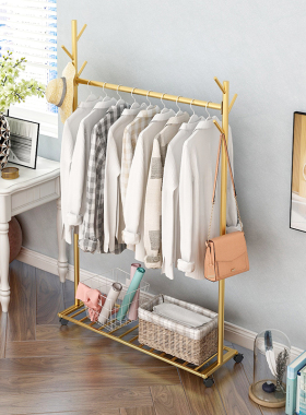 轻奢挂衣架落地卧室网红衣帽架门口置物简易衣服架子家用可移动