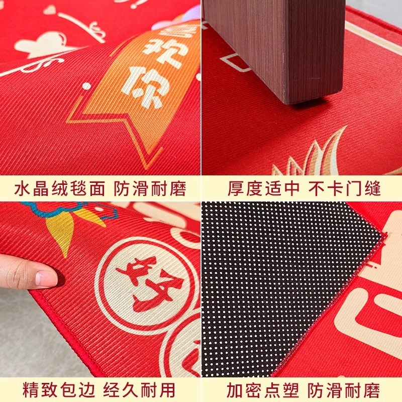 地垫入户门进门耐脏防p滑门内门口地毯家用乔迁之喜新居可裁剪脚 - 图3