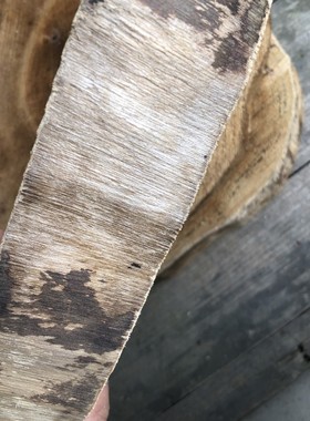 不打磨去皮柳树年轮木片diy手绘装饰手工大木桩S自然圆木片原木片