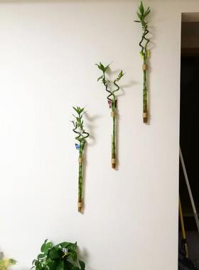 创意田园壁挂转运竹水培麻绳玻璃花瓶工艺小花插挂件家居墙面装饰