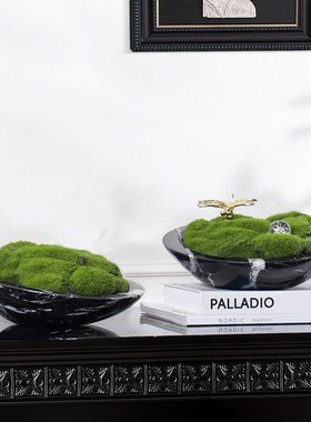 简约现代风客厅电视柜茶几玄关样板房创意大理石微景花盆造景摆件