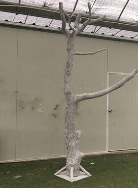森系带香樟树干枝造型酒吧餐厅枯D木摆件漫咖啡厅装饰干树枝去皮