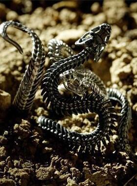 复古蛇开口戒指男女小众设计感缠绕双蛇猎奇N夸张个性指环情侣饰