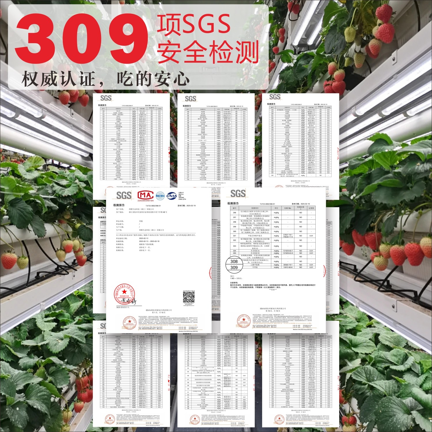 【顺丰】四季红颜草莓新鲜奶油牛奶草莓现摘红颜高端水果礼盒包装,淘宝优惠券,粉丝福利购,淘宝优惠卷