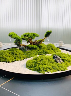 酒店圆桌转盘中间餐桌中心摆圆形装饰微景观枯山水沙盘摆台