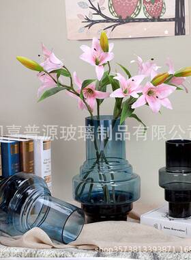 现代简约透明黑色水培玻璃花瓶摆件办公室客厅书房装饰插花养花器