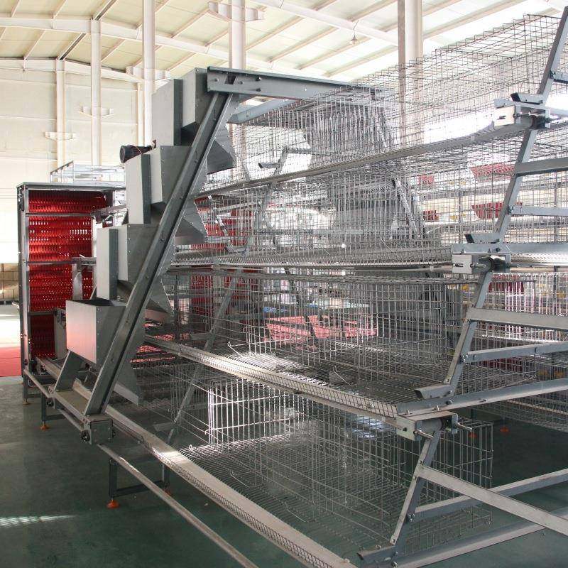 阶梯蛋鸡笼全自动新款养鸡养殖设备加背负式喂料机多层阶梯热镀锌,淘宝优惠券,粉丝福利购,淘宝优惠卷