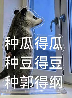 搞怪负鼠表情包亚克力立牌摆件