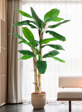 芭蕉树大型仿真植物高级仿生绿植盆栽室J内商场橱窗装饰花假树摆