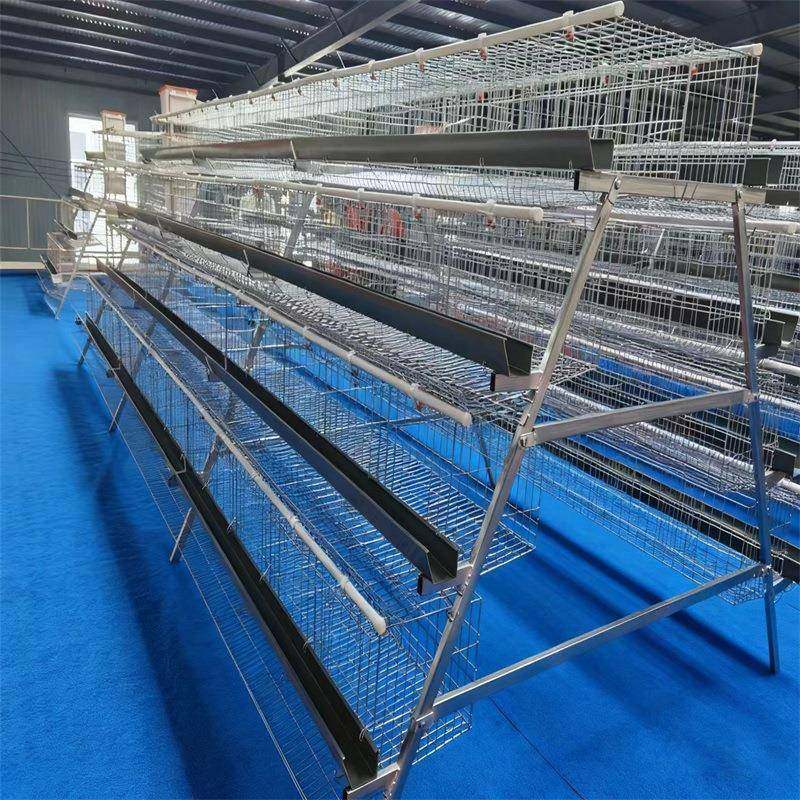 养鸡场梯形蛋鸡笼厂家供应鸡舍四层五门阶梯蛋鸡笼后热镀锌蛋鸡笼,淘宝优惠券,粉丝福利购,淘宝优惠卷