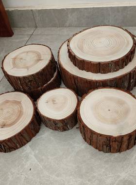 小木桩盲盒底座摆件杉树摄影道具园艺壁炉装饰实木木桩树桩树干