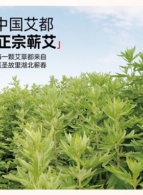蕲艾集团三年陈手工雷火灸艾条