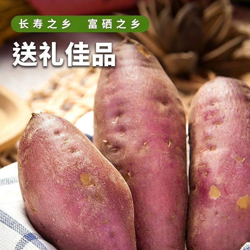 海南正宗澄迈桥头地瓜富硒地瓜红薯新鲜沙地板栗蜜薯糖心产地直发
