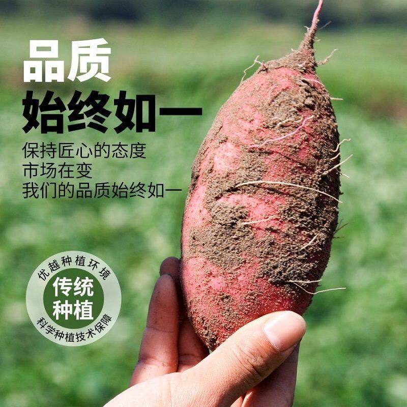 海南正宗澄迈桥头地瓜富硒地瓜红薯新鲜沙地板栗蜜薯糖心产地直发
