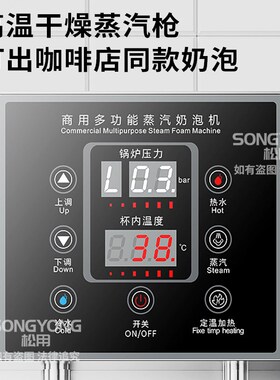 开水冷水蒸汽奶泡机咖啡奶茶加热机商用蒸汽机全V自动吧台开水器