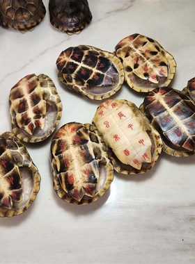 天然乌龟壳真龟甲刻字六爻龟甲占中华草龟壳王八壳完整送铜钱配件