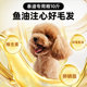 ອາຫານຫມາພິເສດຂອງ Teddy 10 ປອນສໍາລັບລູກຫມາແລະຜູ້ໃຫຍ່