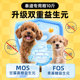 ອາຫານຫມາພິເສດຂອງ Teddy 10 ປອນສໍາລັບລູກຫມາແລະຜູ້ໃຫຍ່