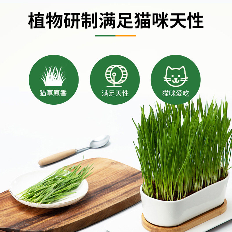 绿十字猫草片猫咪吐毛球片消化猫化毛膏化猫片绿十字化毛片200片,淘宝优惠券,粉丝福利购,淘宝优惠卷