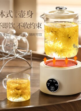 养生壶小型办公室多功能炖煮花茶壶慢炖迷你养身壶宿舍家用烧水壶