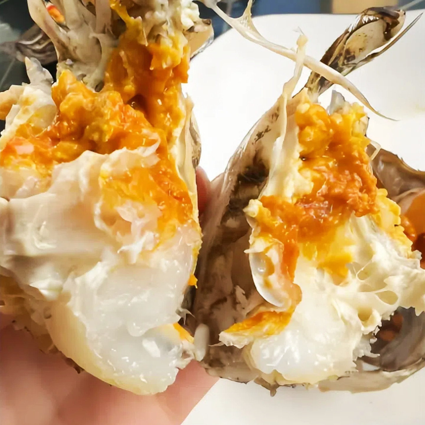 鲜活苏州核心产区湖水特大大闸蟹公4.5两母3.5两10只礼盒装阳澄,淘宝优惠券,粉丝福利购,淘宝优惠卷