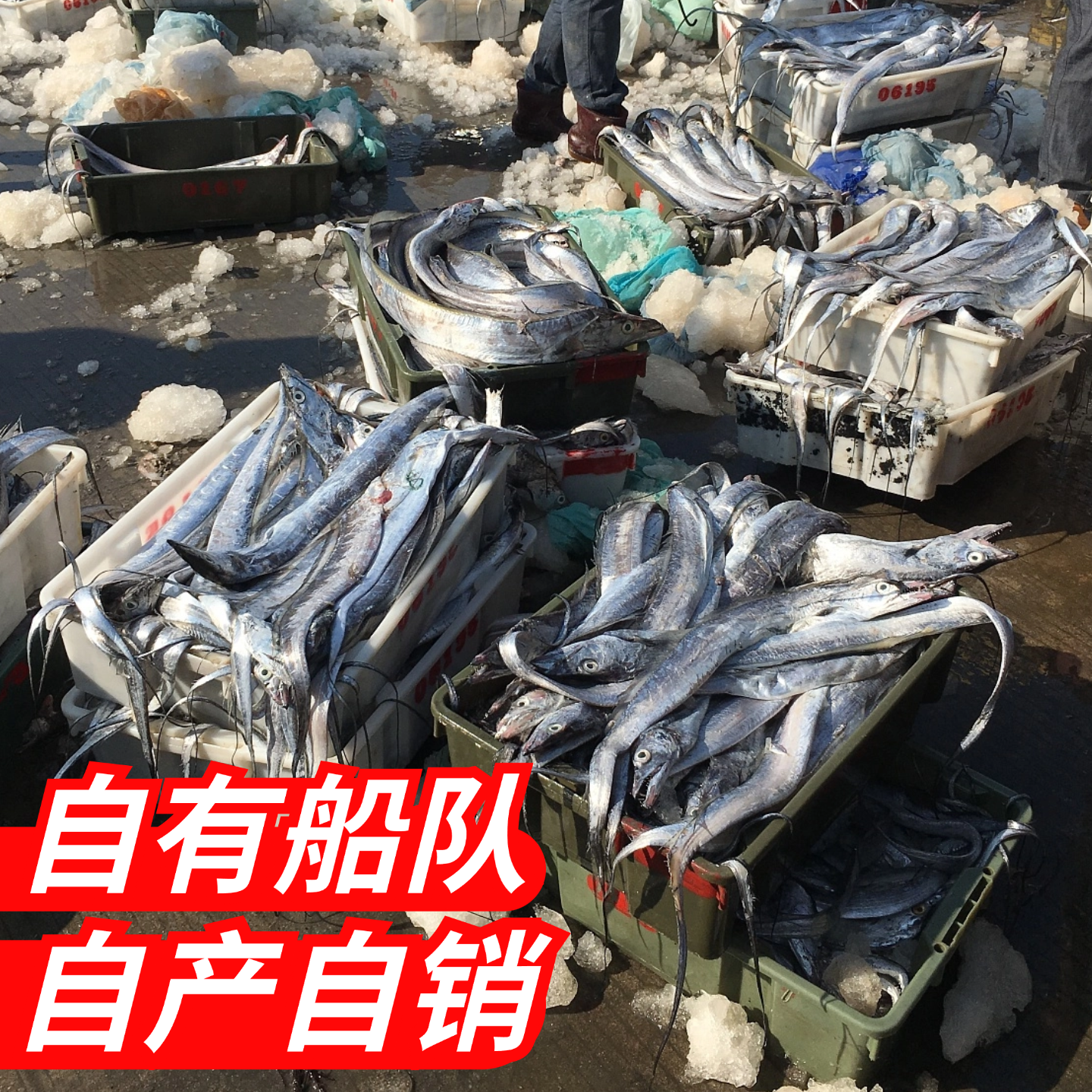 带鱼段中段新鲜冷冻刀鱼中段特级大号东海小眼带鱼深海鱼鲜活海鲜,淘宝优惠券,粉丝福利购,淘宝优惠卷