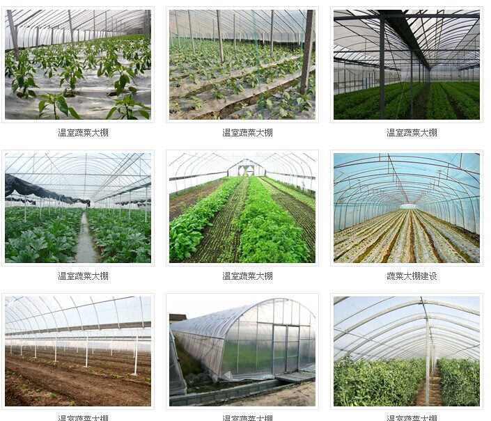 塑料薄膜地膜塑料布塑料大棚膜农膜加厚无滴膜包装装修塑料薄膜卷,淘宝优惠券,粉丝福利购,淘宝优惠卷