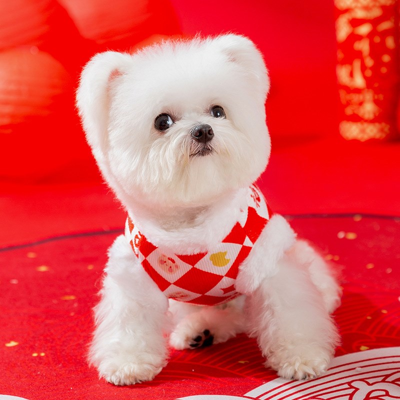 兔毛马甲小狗狗新年衣服比熊泰迪博美小型犬猫咪宠物冬季保暖棉衣 - 图3