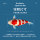 Крупномасштабная живая рыба good luck golden koi декоративная рыба, красная и белая рыба-кои, пресноводные золотые рыбки просты в выращивании и устойчивы к жизни Бесплатная доставка mini 4