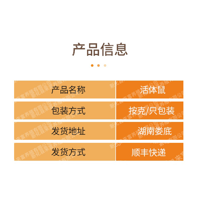 活体乳鼠红粉皮白霜无菌喂角蛙饲料爬虫猫粮小白鼠爬宠顺丰发货 - 图1